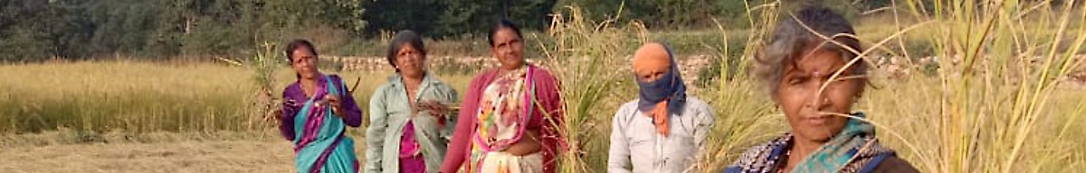 Indische Reisbäuerinnen